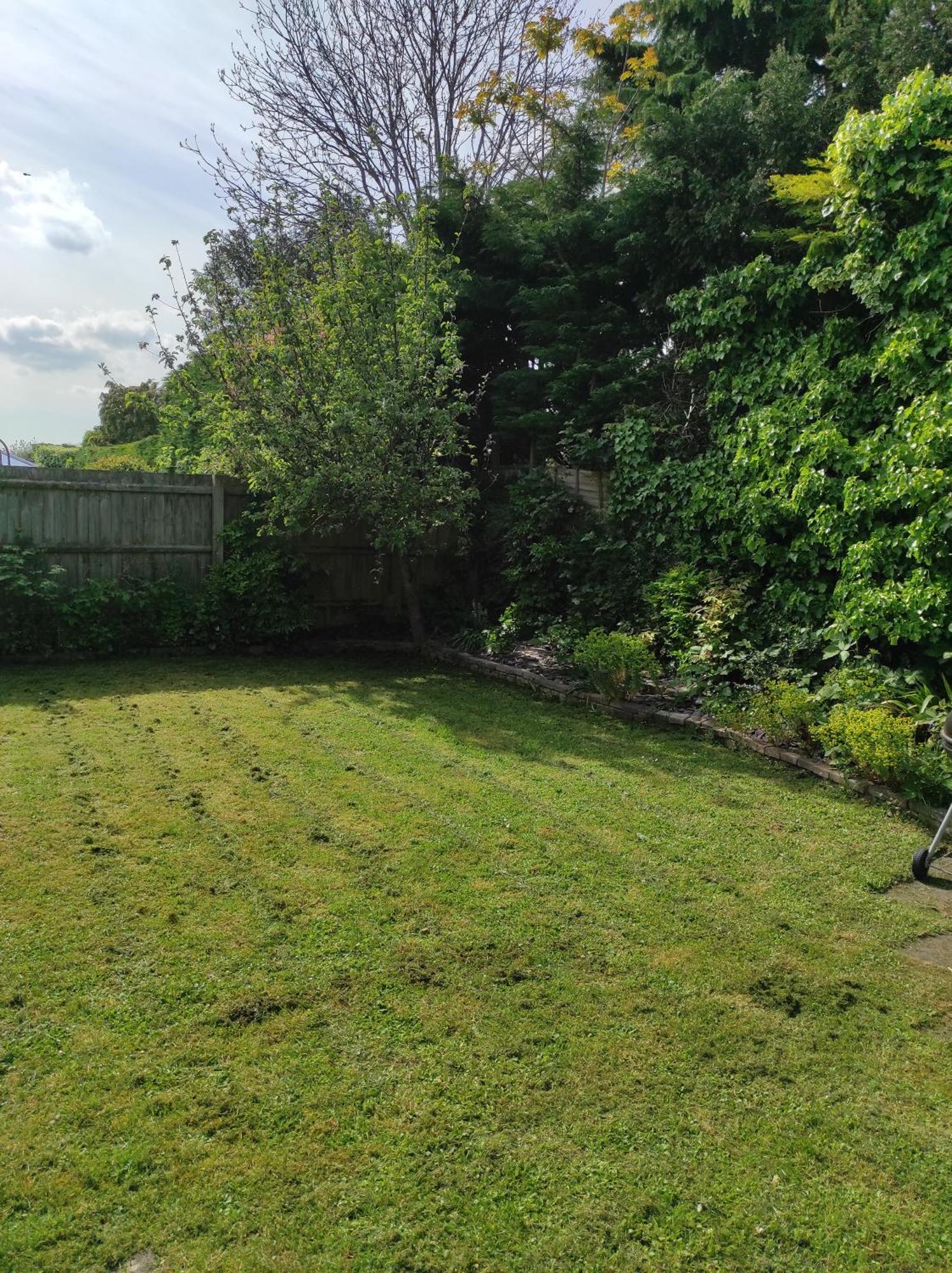 Number 8 With Free Parking Villa Bury St. Edmunds Exteriör bild